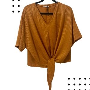 Zara Yellow Gold Blouse (Small)